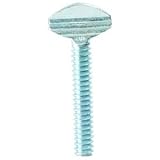 #10-24 x 2 Type B Regular Thumb Screw, No Shoulder, Zinc