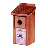 3 Pack of W201 BLUEBIRD HOUSE