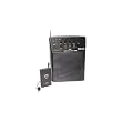 Nady WA-120LT/E Portable PA System with Wireless Omni-Lavalier Mic
