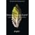 Through a Season of Grief: Devotions for Your Journey from Mourning to Joy