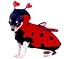 Lady Bug Dog Costume -Size 4