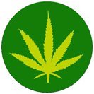HEMP LEAF Pinback Button 1.25" pin / badge Marijuana Pot Cannabis Legalize