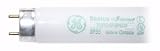 21Fv9hgx4JL. SL160  Energy Saver Light Bulb Reviews