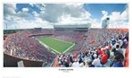 Florida Gators Swamp Panoramic