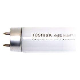 Eiko 15524 F10T8/CW Straight T8 Fluorescent Tube Light Bulb