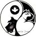 Diarrhea Relief for Cats