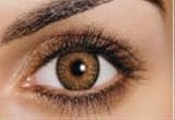 Freshlook Colorblends Non Prescription in Pure Hazel