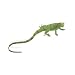 Safari Ltd IC Junger Leguan