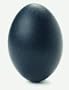 Second Quality Emu Eggs