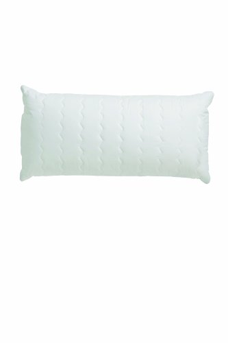 Centa-Star extra 2390.00 Aqua Aktiv Kissen mit gesteppter H&uuml;lle 40 x 80 cm Preisvergleich