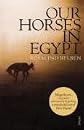 Our Horses in Egypt