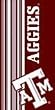 Texas A&M Aggies Beach Towel 30X60