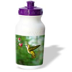 Birds - Hummingbird - Water Bottles by