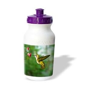 Birds - Hummingbird - Water Bottles by 