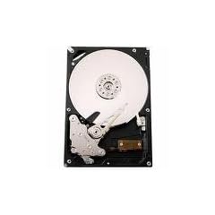 1000GB Hitachi HUA721010KLA330