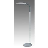 Grandrich Full Spectrum One-Light Floor Lamp, Gray #ES-101N