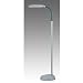 Grandrich Full Spectrum One-Light Floor Lamp, Gray #ES-101N