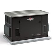 natural gas generator