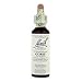 Gorse Flower Essence - 20 ml., (Bach Flower Essence)