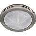 Tools & Hardware : Hunter Fan Saturn 90053 Decorative Brushed Nickel Rings with Frosted Glass