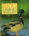 Tt Ducks: A Dabblers Miscellany (Tiny Tomes)
