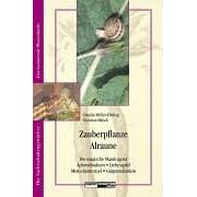 Zauberpflanze Alraune. Die Magische Mandragora (Taschenbuch)