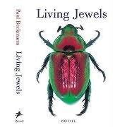 Living Jewels: The Natural Design of Beetles (Mini Guides)