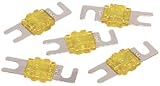 Fuses: Tsunami FSMANL605N Mini ANL Fuse - Pack of 5