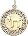 Chai (Hebrew Letter) on Disc, 14K Gold Charm