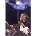 �^���̎� [DVD]