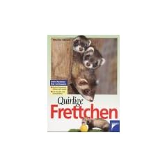 Quirlige Frettchen
