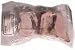 Kitchen & Housewares : Raw Advantage Beef Bones Medium - 6 lbs.