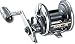 �_�C��(Daiwa) �V�[���C��50HSD 00607711