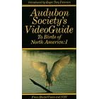 Birds of North America 1