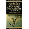 Audubon Society's VideoGuide to 247 Birds of North America Volume I Water, Prey and Scratching Birds