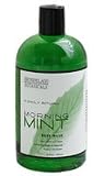 Archipelago Botanicals Morning Mint Body Wash