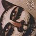 Glass Eye - Hello Young Lovers