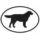 Golden Retriever Sticker