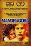 Mandragora