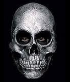 AL OY Mask - Fun Halloween Skeleton Mask