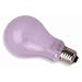 Full Spectrum Lifetime Light Bulbs 100 Watt - Pack of 2