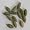 Cardamon Green Pods Organic 1lb