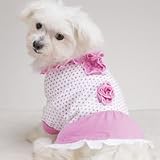 Casual Canine Baby Doll Dresses (XL)