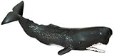 Monterey Bay Collection- Sperm Whale Adult