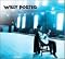 Willy Porter