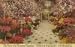 SAN FRANCISCO CA California Podesta Baldocchi florist nursery