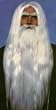 Merlin Wizard Wig & Beard