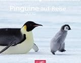 Pinguine auf Reise 2009 / Penguins 2009 / Pingouins 2009