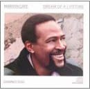 Dream of a Lifetime by Marvin Gaye