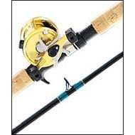 SportingGoods: 965 International Reel  6' 6'' CP65MH Custom Power Stick Rod Inshore Combo